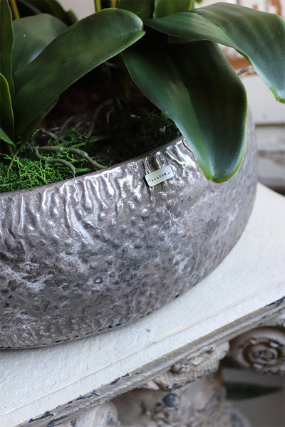 Koralovy, różowy storczyk w metalowej misie, wys.68cm