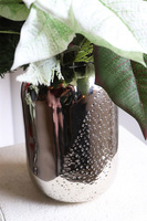 Gwiazda Betlejemska Kreona Biel, kompozycja świąteczna