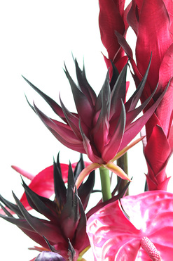 OD RĘKI Yorker, kompozycja kwiatowa z bromelia i proteą, wym.77x50cm