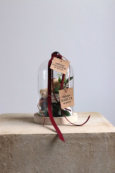 Teddy Red, kompozycja pod szklanym kloszem