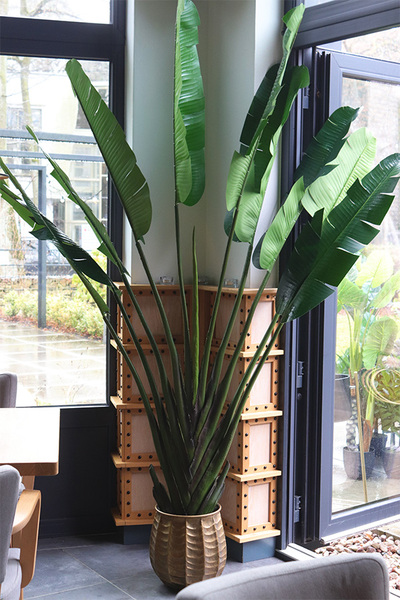 Bananowiec Bellis, sztuczna roślina w donicy