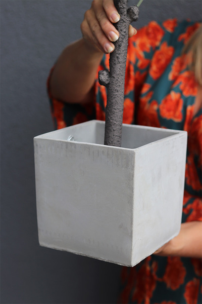 Drzewko Oliwne Concrete 2, sztuczna roślina w donicy