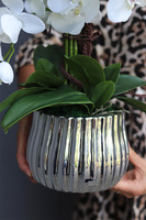 Silver Versal, sztuczny storczyk w lustrzanej donicy