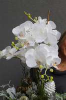 Deluxe Black Winter, elegancki storczyk zimowy w pucharze LED