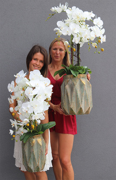 storczyki Matea Gold w metalowych naczyniach wys.82/98cm