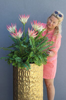 Echemea Queen, kompozycja kwiatowa w metalowej donicy