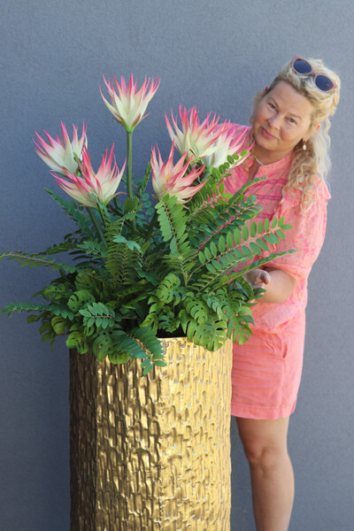 Echemea Queen, kompozycja kwiatowa w metalowej donicy