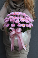 Stokrotki, wiosenna kompozycja kwiatowa w doniczce