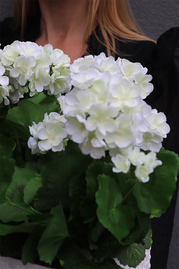 Summer Balcony New, białe pelargonie w skrzynce balkonowej