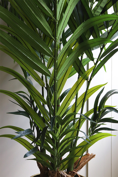 Palma Brasileiro, sztuczna roślina w doniczce