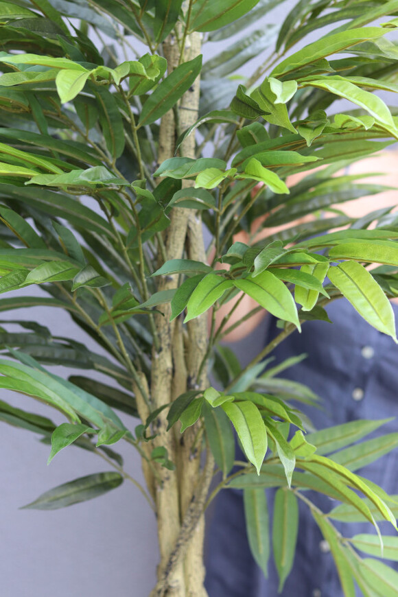 Mangowiec Concrete, sztuczna roślina w donicy