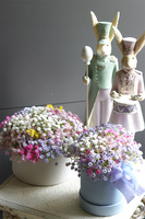 Kaszka Blue, flowerbox kwiatowy welurowy, gipsówka