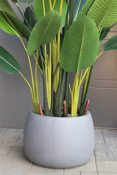 Bananowiec Concrete Bowl 3, sztuczna roślina w donicy	