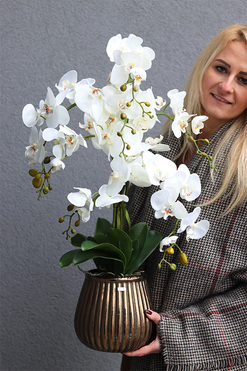 Elegance Hotel B, sztuczny storczyk w miedzianej donicy, wys.78cm