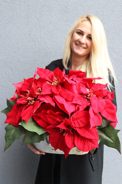 Gwiazda Betlejemska Silverisso, wysokiej jakości sztuczna roślina, wym.30x42cm 