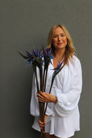 Strelicja Królewska Niebieska, bukiet kwiatów do wazonu, 5 sztuk