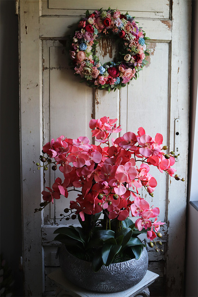 Koralovy, różowy storczyk w metalowej misie, wys.68cm