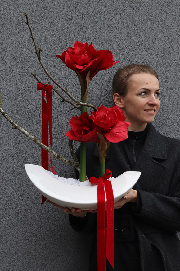 Amarylis Callena, świąteczna kompozycja z czerwonymi kwiatami, wys.