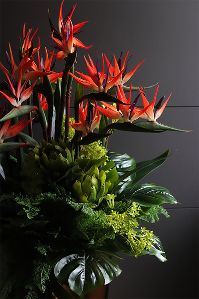 egzotyczna kompozycja, Strelicja Manhattan