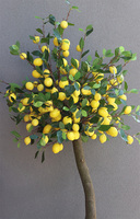 Limoncella Basket, sztuczne drzewko cytrynowe w koszu