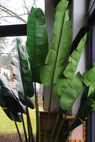 Bananowiec Bellis, sztuczna roślina w donicy