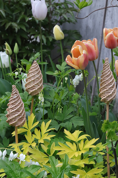 Sunday C, słomiana dekoracja