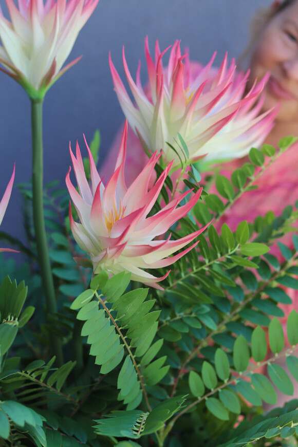 Echemea Queen, kompozycja kwiatowa w metalowej donicy