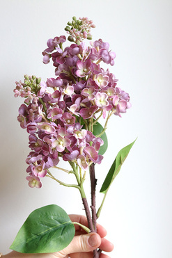 Bzy Royal, gumowy bez kwitnący lilak, wiśniowy fiolet, dł.66cm 