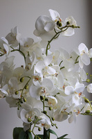 Rattania Cottage, sztuczny storczyk w wiklinowym koszu