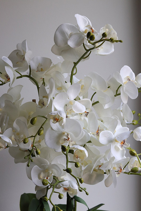 Rattania Cottage, sztuczny storczyk w wiklinowym koszu