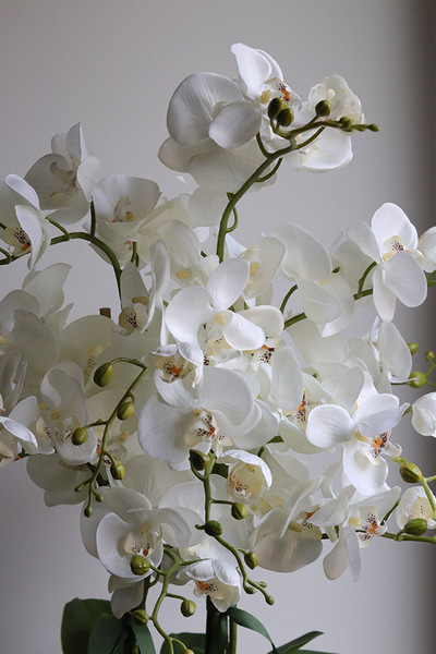 Rattania Cottage, sztuczny storczyk w wiklinowym koszu