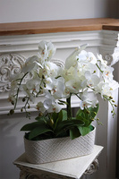 White Orient 2, wysokiej jakości sztuczny storczyk