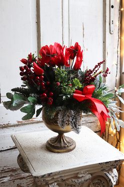 Cyklamen Zimowy Czerwień, świąteczna dekoracja w pucharze, wys.42cm 