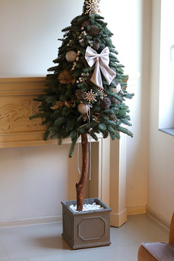 OD RĘKI Nobilis Girgio Gold, świąteczna choinka z żywych gałązek, wys.165cm 