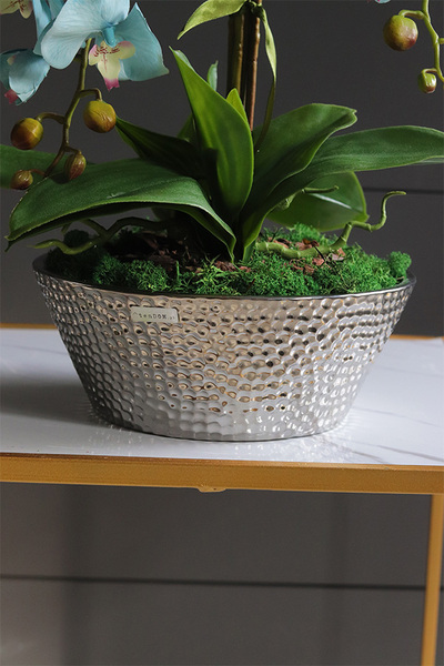 Blue Garden Simple, turkusowy storczyk w lustrzanej donicy