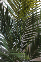 Magellania Earth, sztuczna palma w ozdobnej donicy