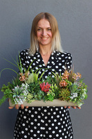 kompozycja sukulenty w długiej donicy, Hektor E