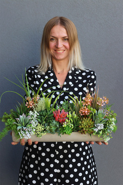 kompozycja sukulenty w długiej donicy, Hektor E, dł.48cm 