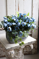 Krokusy Blue, kompozycja wiosenna z niebieskich kwiatów, wym.26x47cm