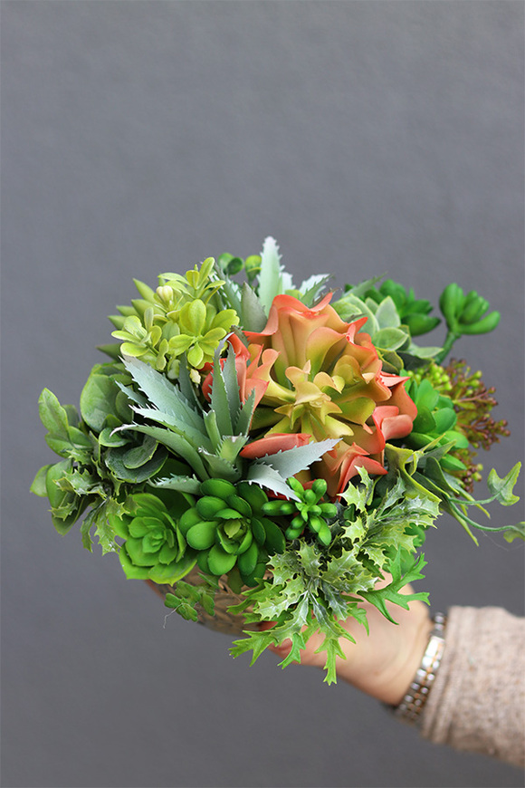 Gestree Goldisa, kompozycja z sukulentów