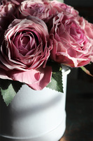 flowerbox z fioletowymi różami, Graciosi, wym.23x25cm