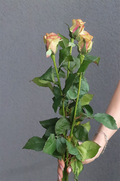 Róża Juliet, gałązka sztucznej róży