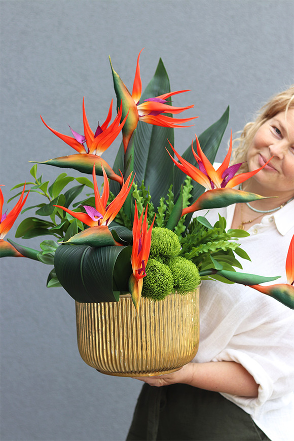 Strelicja Goldite, kompozycja ze strelicją w złotej donicy