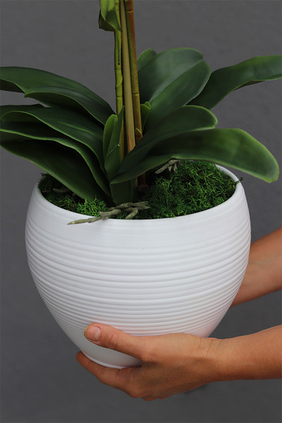 Turkusina Selenia, sztuczny storczyk w białej donicy, wys.65cm