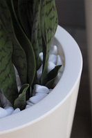 Sansewieria Della Deluxe, roślina sztuczna w donicy