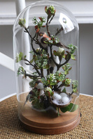 Meria, kompozycja kwiatowa pod kloszem