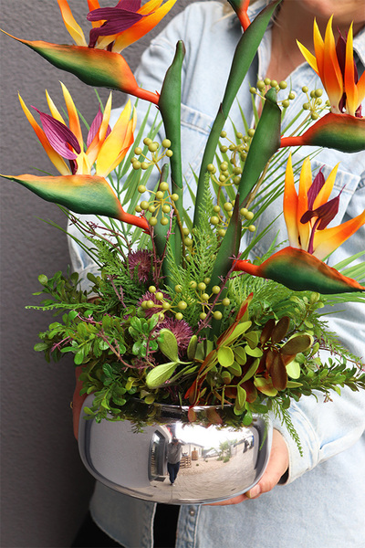 Strelicja Silver Pompadour, kompozycja w srebrnej donicy