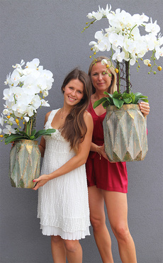 storczyki Matea Gold w metalowych naczyniach wys.82/98cm