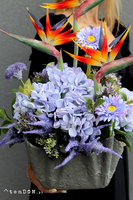 Bajeczne Strelicje Volcan, komplet dekoracji nagrobnych