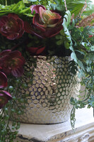 Bizett, sukulenty w ozdobnej donicy